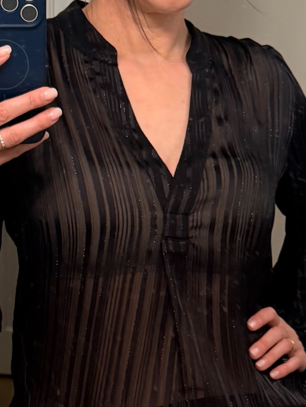 Banana Republic Sheer Black Long-Sleeve V-Neck Blouse